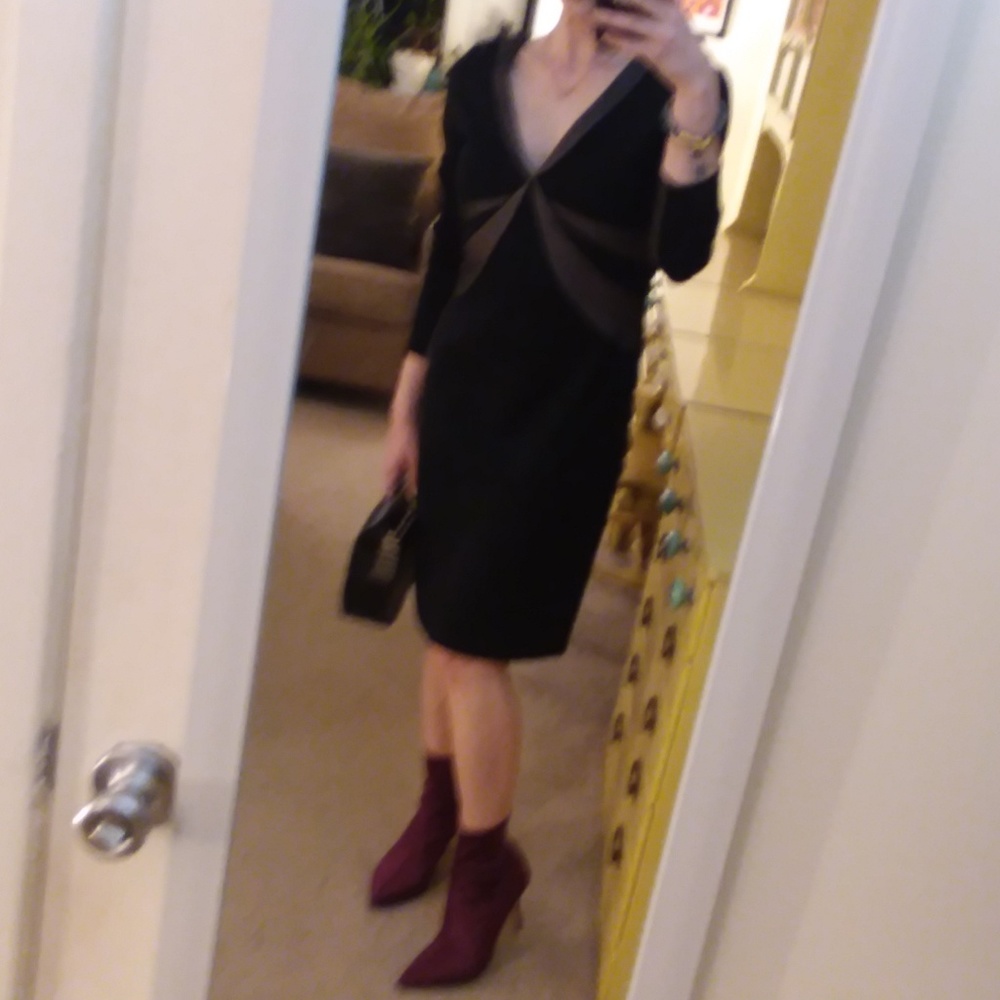 BCBGMaxAzria Black Nude Mesh Long Sleeve Dress